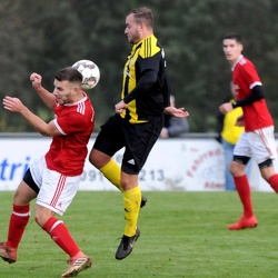 Herren: Spiel gegen TSV Wolkersdorf