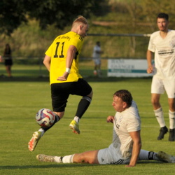 Herren 1: Pokalspiel gegen den SV Rednitzhembach
